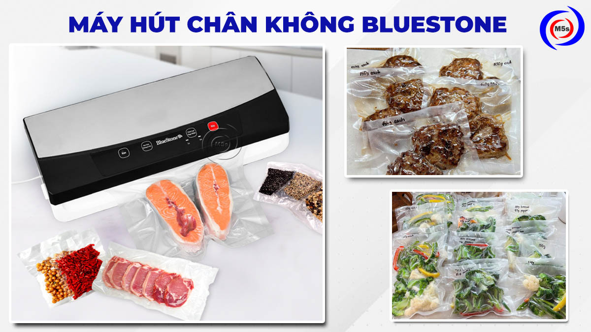 Máy hút chân không công nghiệp BlueStone Máy hút chân không công nghiệp BlueStone