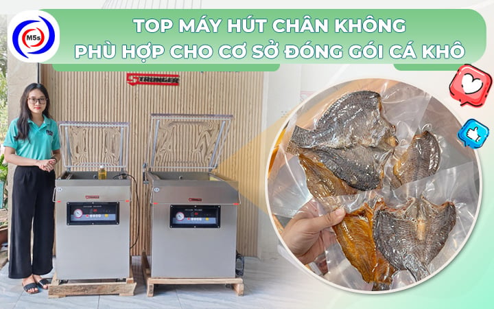 máy hút chân không cho sở đóng gói cá khô máy hút chân không cho sở đóng gói cá khô