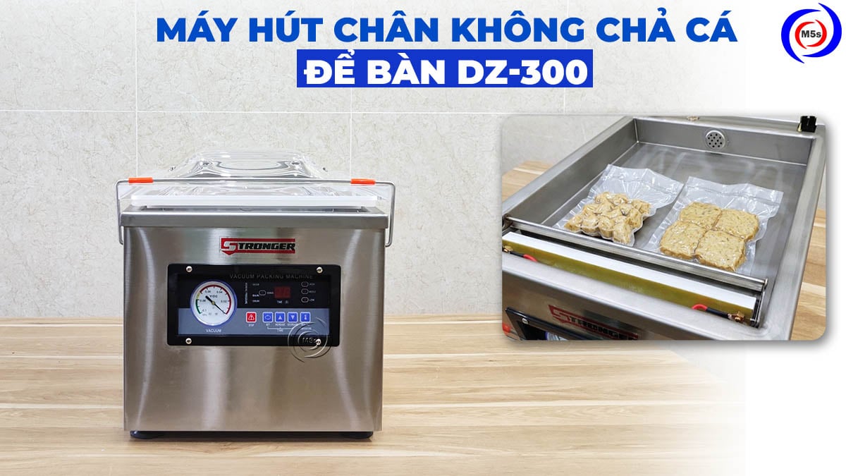 Máy hút chân không chả cá để bàn DZ-300B Máy hút chân không chả cá để bàn DZ-300B