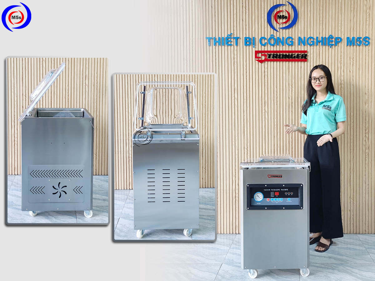 Máy hút khí chân không DZ-400 inox 304 tại công ty M5s Máy hút khí chân không DZ-400 inox 304 tại công ty M5s
