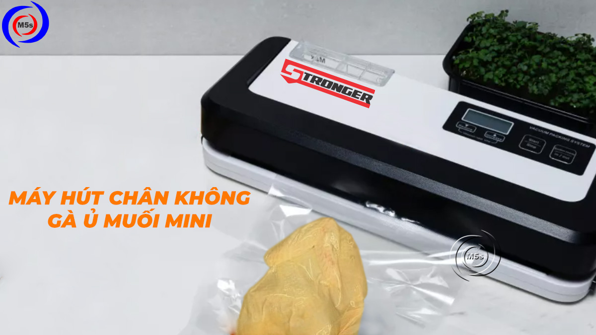 Máy hút chân không gà ủ muối mini Máy hút chân không gà ủ muối mini