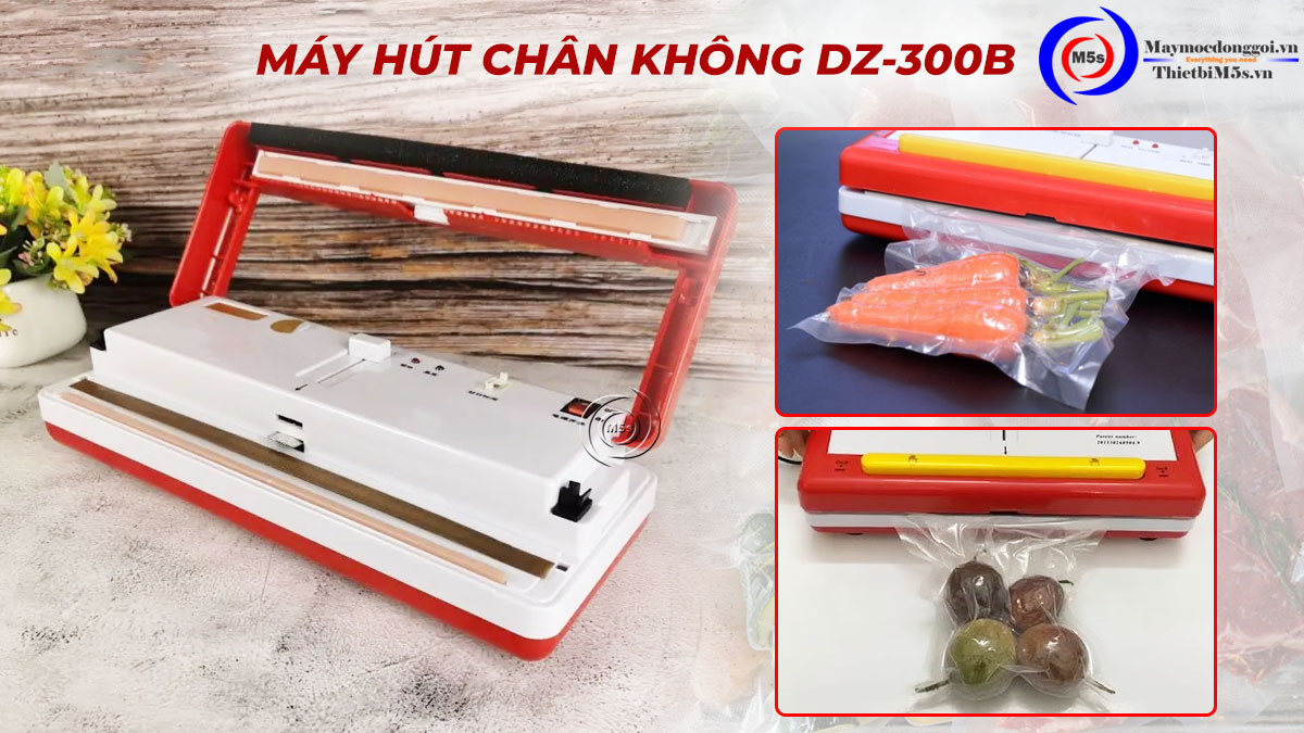 Máy hút chân không mini gia đình DZ-300B Máy hút chân không mini gia đình DZ-300B