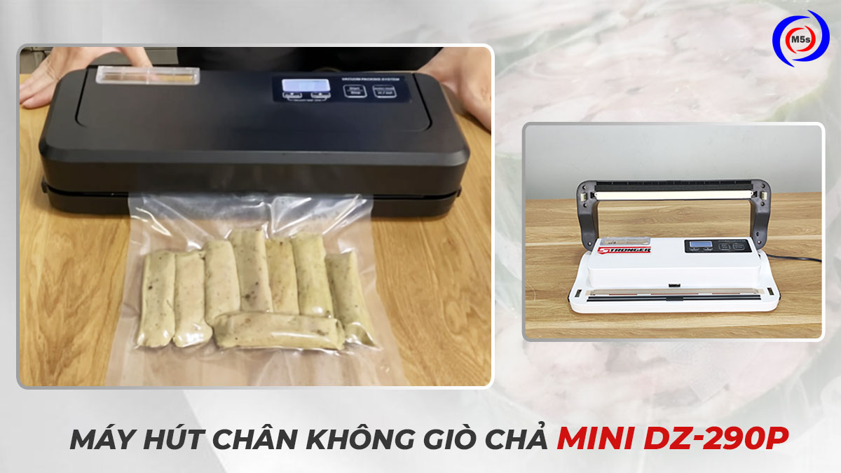 Máy hút chân không giò chả mini DZ-290P Máy hút chân không giò chả mini DZ-290P