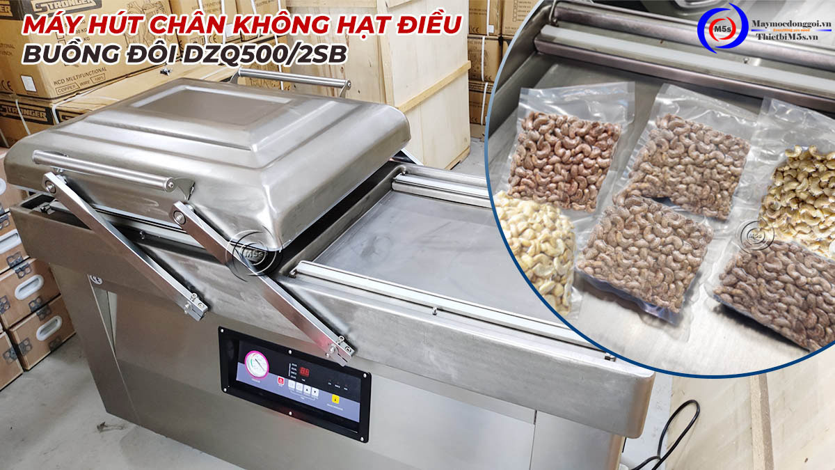 Máy hút chân không hạt điều buồng đôi DZQ500/2SB Máy hút chân không hạt điều buồng đôi DZQ500/2SB