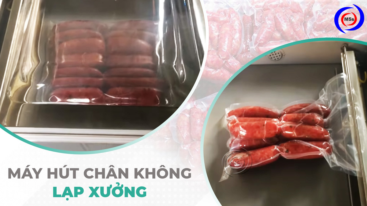 Máy hút chân không bảo quản lạp xưởng Máy hút chân không bảo quản lạp xưởng
