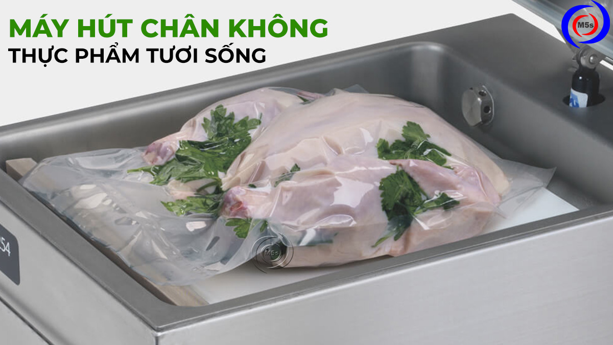 máy hút chân không thực phẩm tươi sống máy hút chân không thực phẩm tươi sống