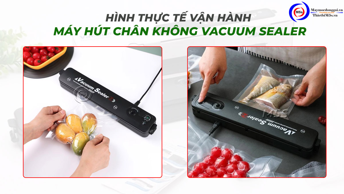 Máy hút chân không mini gia đình Vacuum Sealer Máy hút chân không mini gia đình Vacuum Sealer