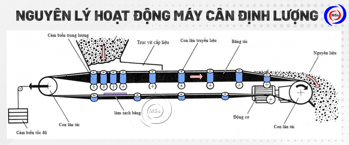 Nguyên lý hoạt động máy cân định lượng Nguyên lý hoạt động máy cân định lượng