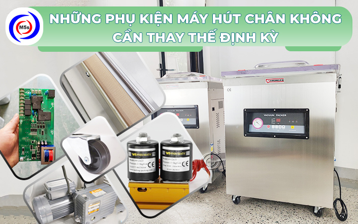 phụ kiện máy hút chân không cần thay thế định kỳ