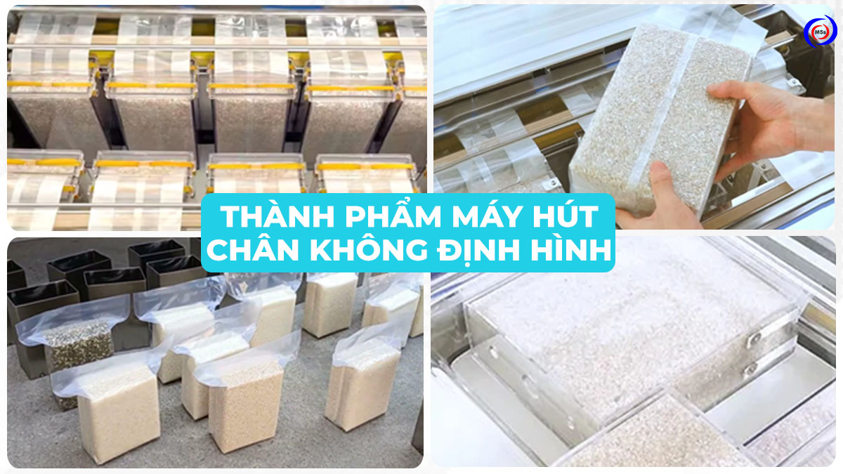 Thành phẩm máy hút chân không định hình