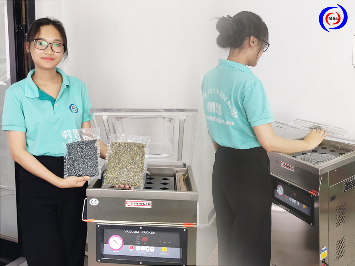 Máy hút chân không công nghiệp tại kho M5s Máy hút chân không công nghiệp tại kho M5s