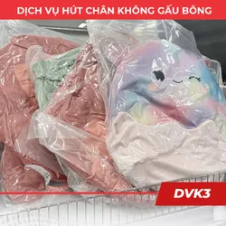 Dịch vụ hút chân không gấu bông