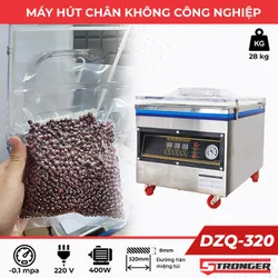 Máy hút chân không để bàn DZQ-320 (1 thanh hàn)