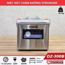 Máy hút chân không Stronger DZ-300B
