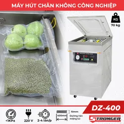 Máy hút chân không công nghiệp DZ-400