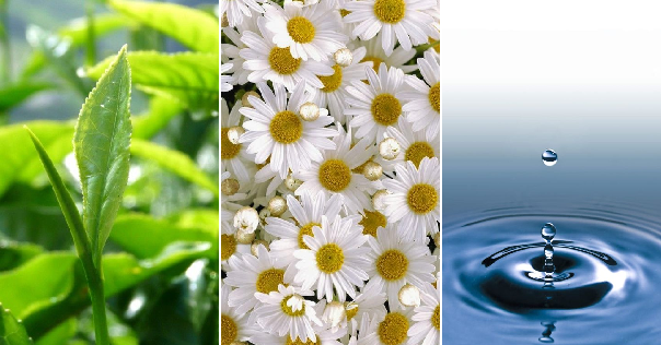 41 xit khoang tra xanh