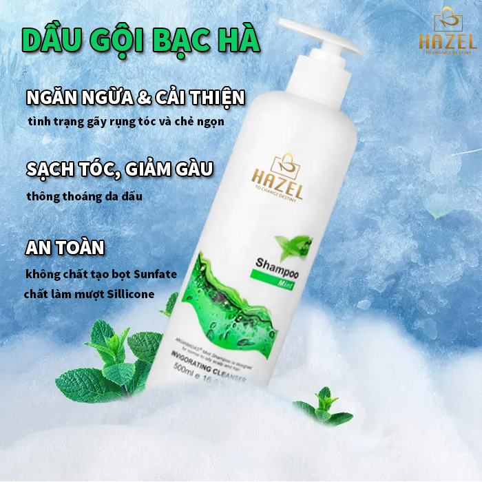 Công thức gia công dầu gội bạc hà HAZEL kẻ thù của nấm, gàu, ngứa Công thức gia công dầu gội bạc hà HAZEL kẻ thù của nấm, gàu, ngứa