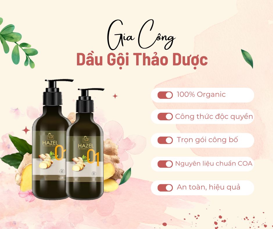 Đột phá doanh thu với gia công dầu gội thảo dược thiên nhiên HAZEL Đột phá doanh thu với gia công dầu gội thảo dược thiên nhiên HAZEL