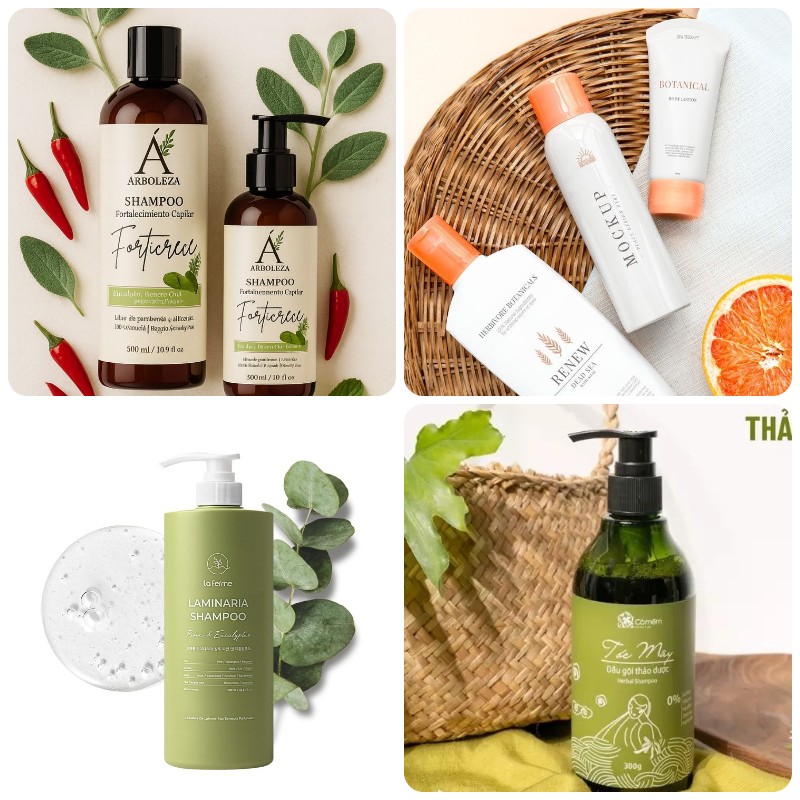 Gia Công Dầu Gội Bạch Quả Gia Công Dầu Gội Bạch Quả