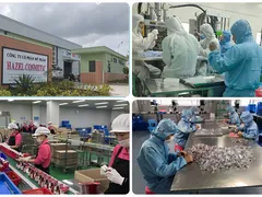 Nhà máy gia công mỹ phẩm – Giải mã quy trình sản xuất chuẩn CGMP 60P