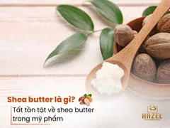 Shea butter là gì? Tất tần tật về shea butter trong mỹ phẩm