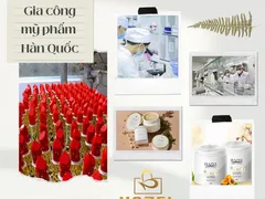 Gia công mỹ phẩm Hàn Quốc: Chất lượng đỉnh cao, giá cạnh tranh