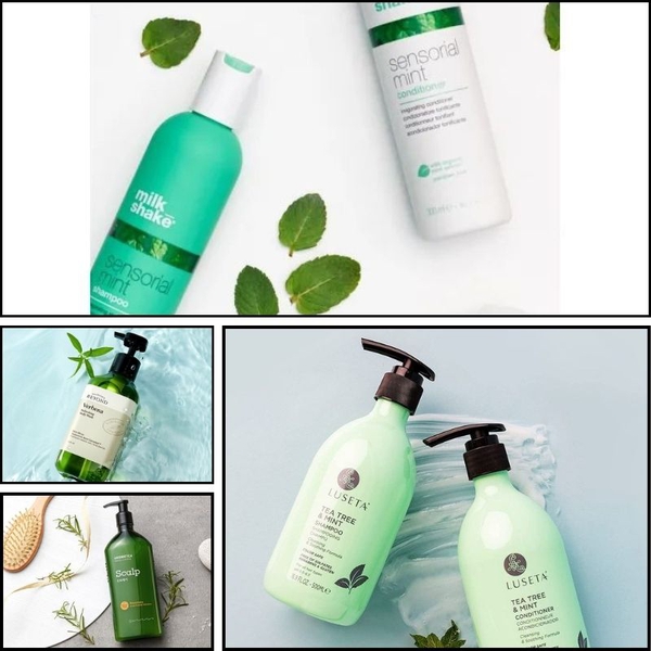 BẬT MÍ công thức gia công dầu gội bạc hà trị gàu, nấm, ngứa HAZEL