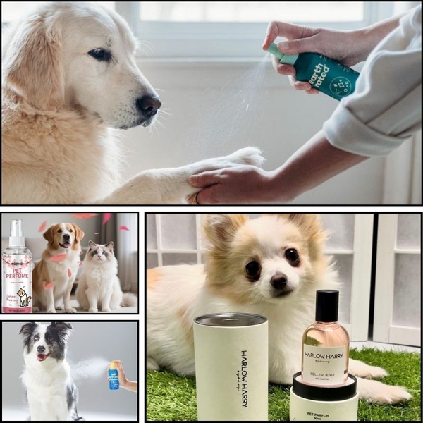 Gia công nước hoa cho THÚ CƯNG- Nhà máy sản xuất gia công mỹ phẩm