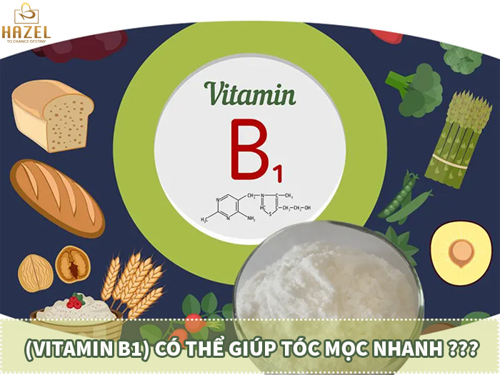 Vitamin B1 có thật sự giúp mái tóc mọc nhanh như lời đồn HAZEL Vitamin B1 có thật sự giúp mái tóc mọc nhanh như lời đồn HAZEL