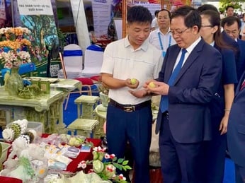 Phó Thủ tướng Chính phủ Hồ Quốc Dũng tham quan gian trưng bày Công ty TNHH Tranh đá quý Việt Nam tại Hội nghị Xúc tiến Đầu tư tỉnh Lào Cai năm 2026