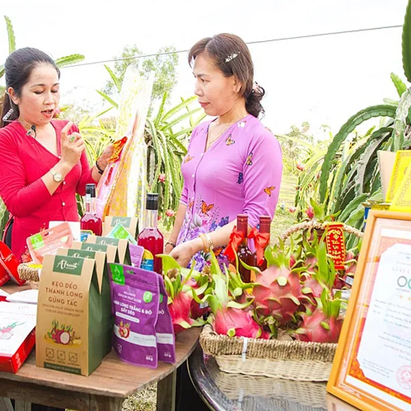 Combo 8 Chai Rượu và Nước Cốt Thanh Long