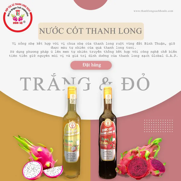 FERMENTED RED DRAGON FRUIT ELIXIR 500ML