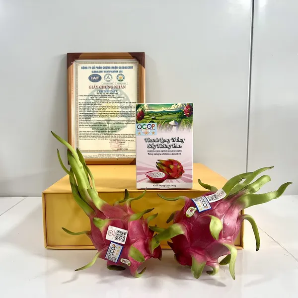 THANH LONG TRẮNG SẤY THĂNG HOA 50G
