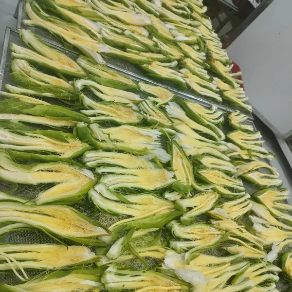 HOA THANH LONG SẤY OCOP