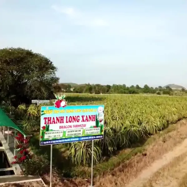 DU LỊCH CANH NÔNG