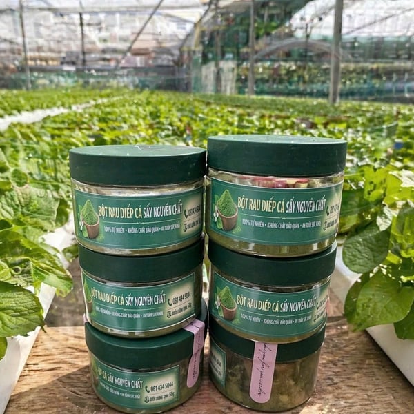 Bột Rau Diếp Cá
