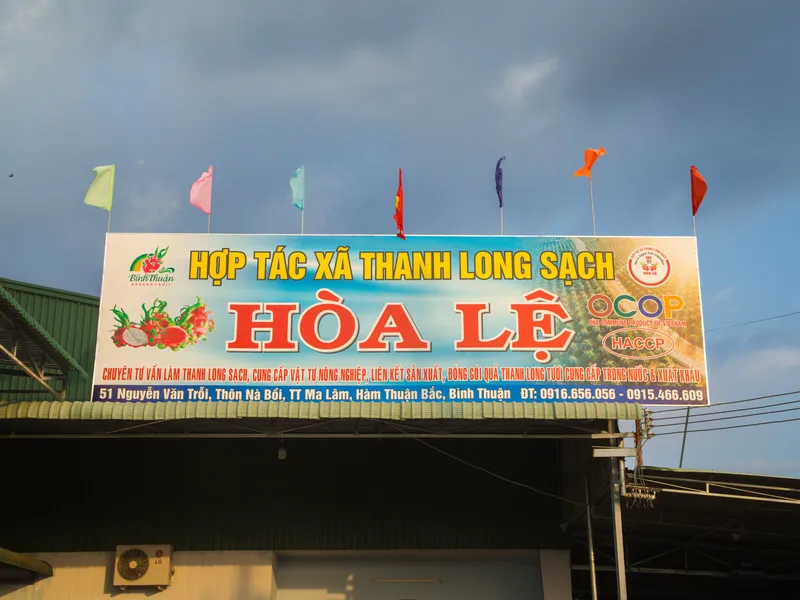 Hợp Tác Xã Thanh Long Sạch Hòa Lệ: Nâng Tầm Tinh Hoa Nông Sản Bình Thuận
