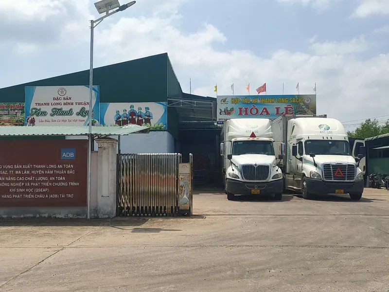 Làm giàu từ trái thanh long