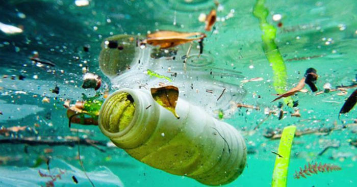 9 cách bảo vệ môi trường biển tại nhà