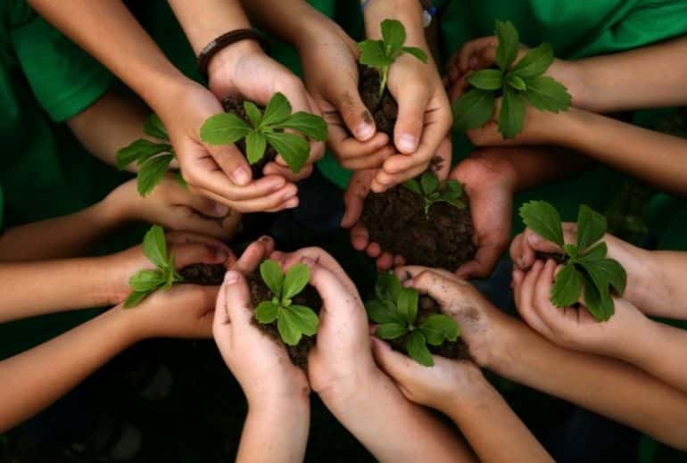 Bài báo cáo về ô nhiễm môi trường của Liên Hợp Quốc về hậu quả môi trường và sức khỏe