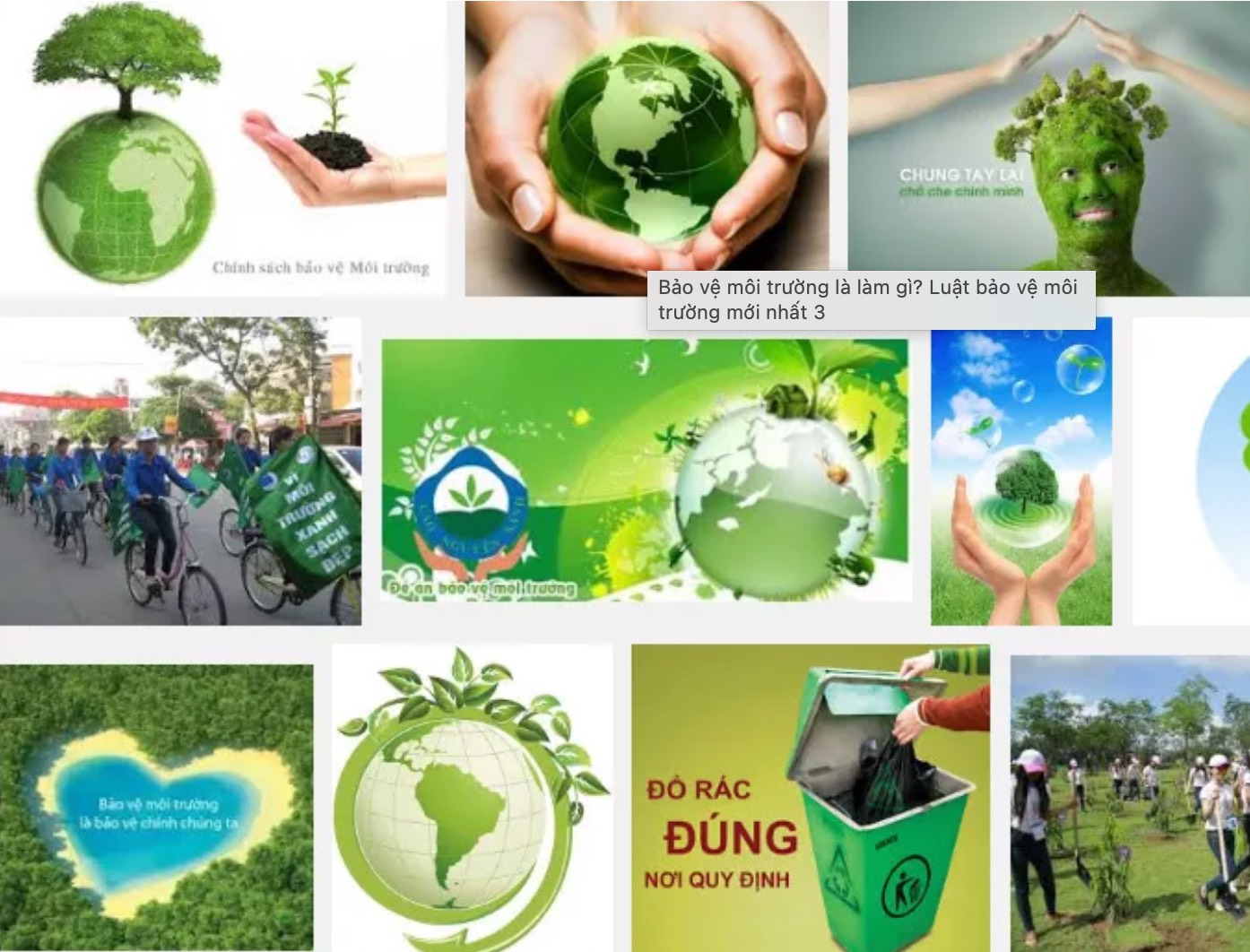 Báo cáo giám sát môi trường hỗ trợ thực thi luật bảo vệ môi trường như thế nào?