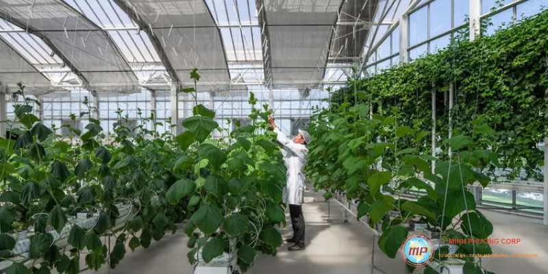 Các Dự án nông nghiệp ứng dụng công nghệ cao