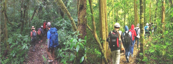 Dự án du lịch sinh thái rừng sản xuất Dự án du lịch sinh thái rừng sản xuất