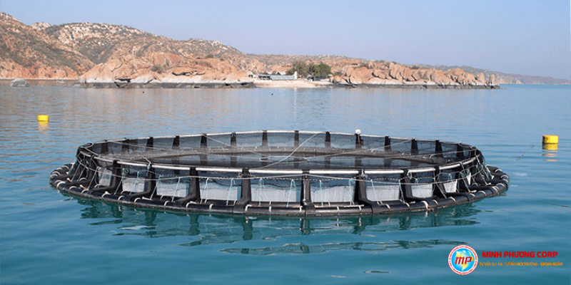 Lập dự án nuôi biển hàu cá lồng bè HDPE là gì