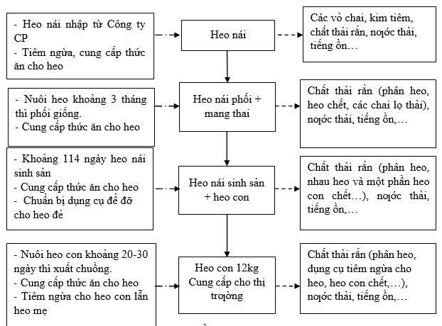Quy trình chăn nuôi heo nái Quy trình chăn nuôi heo nái
