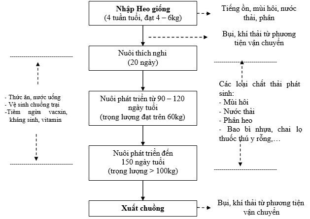 Quy trình chăn nuôi heo tại trang trại Quy trình chăn nuôi heo tại trang trại