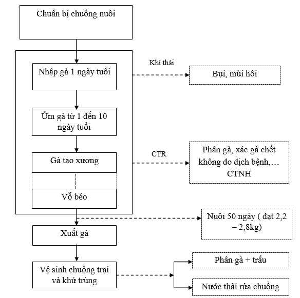 Quy trình nuôi gà Quy trình nuôi gà