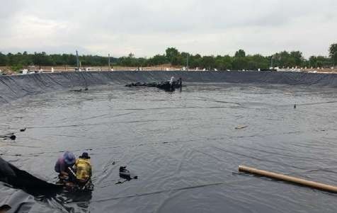 Quy trình nuôi tôm thẻ Quy trình nuôi tôm thẻ