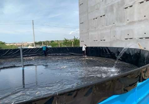 Quy trình nuôi tôm thẻ chân trắng Quy trình nuôi tôm thẻ chân trắng