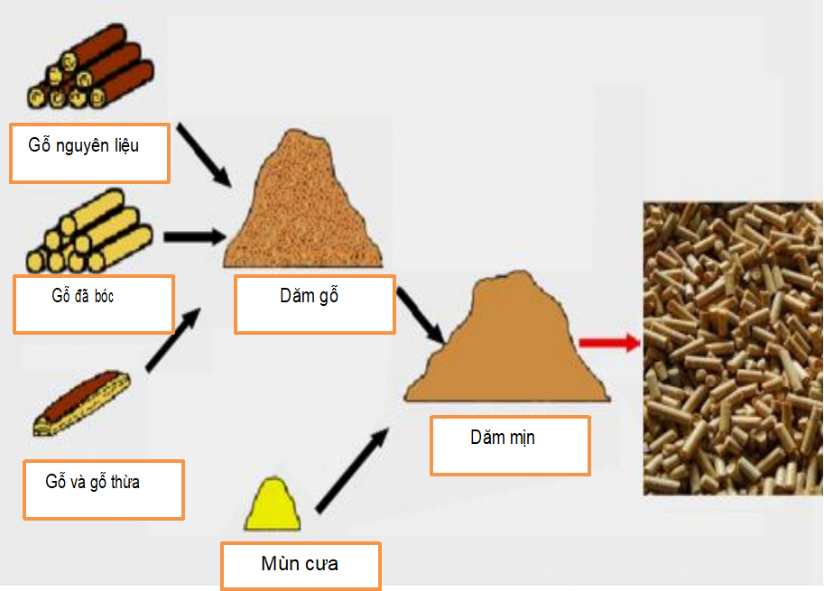 Quy trình sản xuất viên nén gỗ Quy trình sản xuất viên nén gỗ
